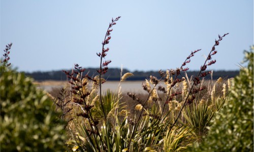 Te Waihora