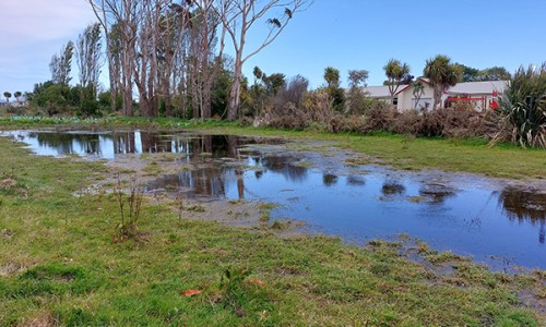 Te Waikekewai tile